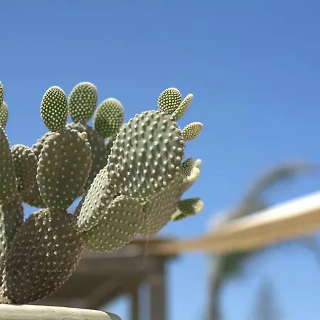 Arabel