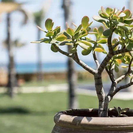 Vakantiehuis Arabel *